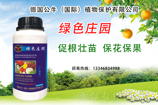 草莓著色不良到底是哪些原因？草莓著色不良又該如何避免？