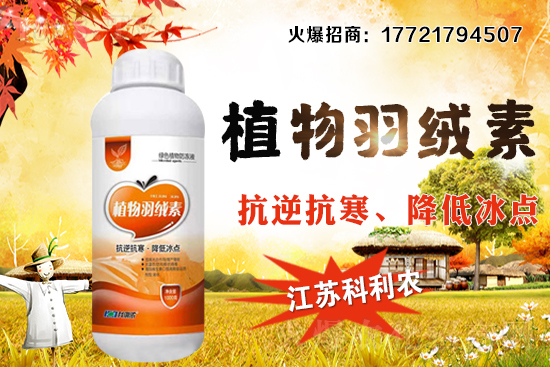 春玉米種植密度如何把握，春玉米施肥及中后期管理！