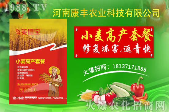 小麥高產(chǎn)套餐能解決小麥哪些問題？小麥高產(chǎn)套餐使用方法!
