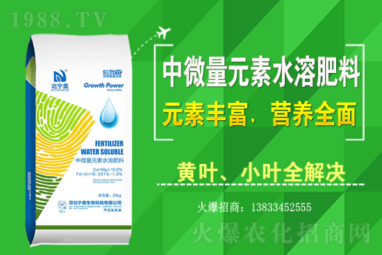 黃花菜該怎么種植？黃花菜種植過程需注意哪些問題？