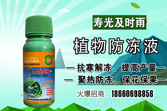 今日小麥價格上漲！到底會漲到多少錢一斤？