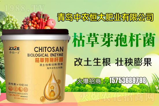 枯草芽孢桿菌真的是“菌中”嗎？枯草芽孢桿菌具體作用你了解嗎？