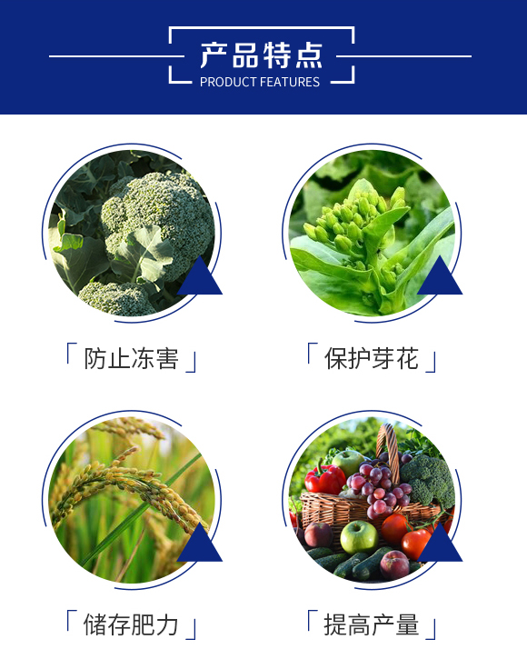 ����-꿾����F(tu��n)_03