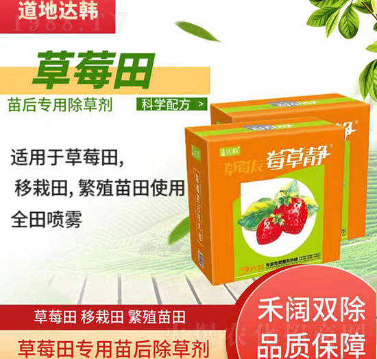草莓育苗期間使用哪種除草劑？草莓除草劑使用方法！