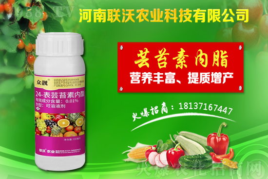 百部適合什么地方種植？百部種植前景及種植技術(shù)！