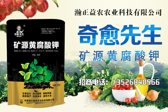 水稻價格還將上漲！上行空間有多大？附:當(dāng)前水稻價格