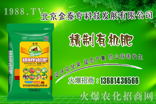 春季草莓該如何管理？草莓肥水管理技術(shù)！