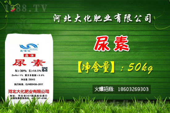 紅香蜜葡萄苗多少錢一棵？種植前景如何？