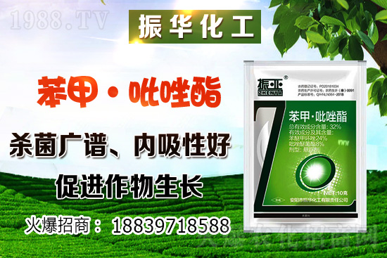 柴胡該怎么種植？柴胡種植方法及環(huán)境要求！