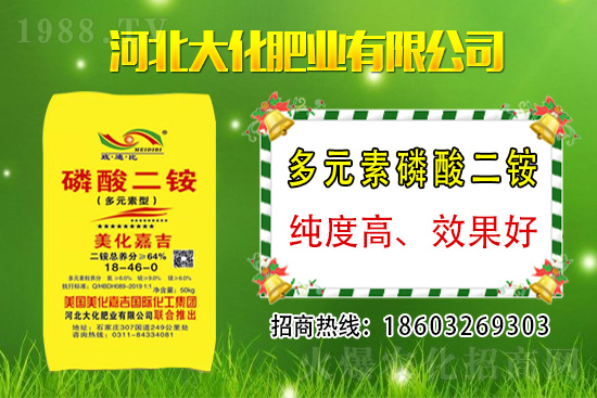 小麥價(jià)格多少錢一斤？2021年3月12日麥價(jià)格分析