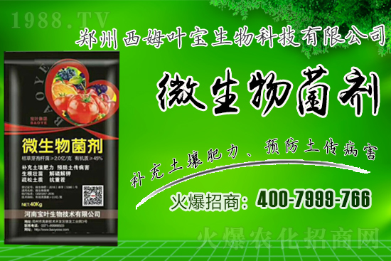 春季適合露地栽培的蔬菜品種有哪些？有哪些種植注意事項(xiàng)？