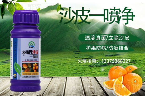 柑橘變成“麻子臉”！這些病害要小心