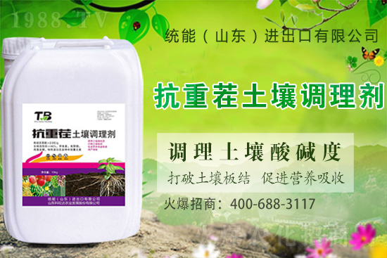 板栗種植怎么選苗子？板栗種植管理要點(diǎn)！
