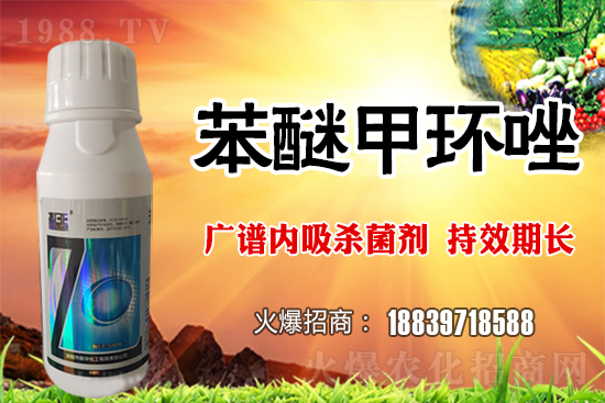 倒春寒風險加大，如何做好冬小麥防護工作？