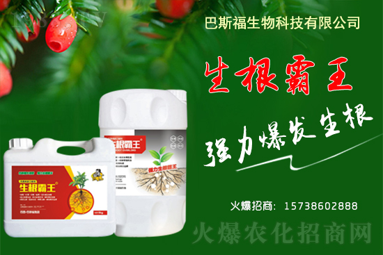 2021年4月20日全國(guó)各地大豆現(xiàn)貨報(bào)價(jià)