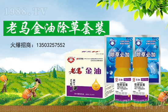 乙羧氟草醚除草劑價(jià)格走勢2021年5月18日
