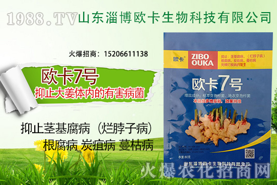 歐卡生物再簽1988.TV，力求實現(xiàn)企業(yè)騰飛夢！