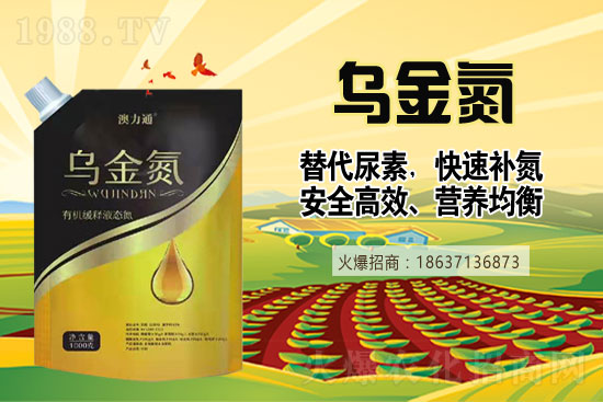 �����������������2021��6��19�����؃r�������Ո�