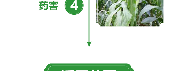 �w������_14