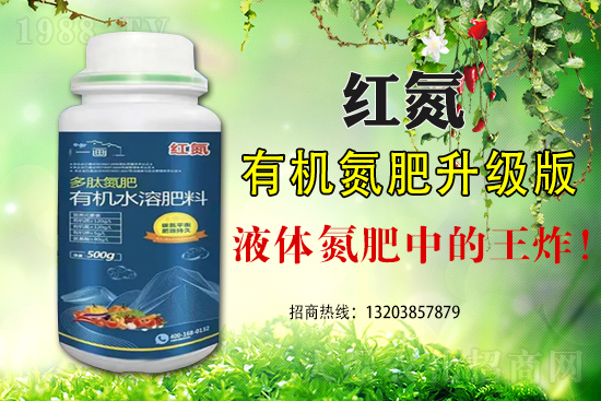 玉米為什么會(huì)出現(xiàn)早衰這種現(xiàn)象？如何避免玉米早衰？