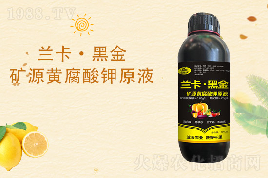 柑橘黃葉是什么原因造成的？柑橘黃葉的解決措施