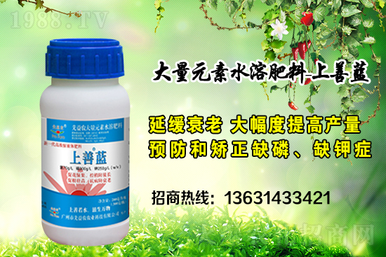 廣州市先益農(nóng)再度攜手1988.TV，攜手共創(chuàng)新戰(zhàn)績！