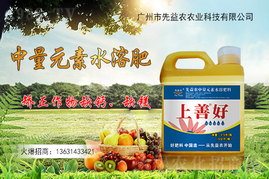 廣州市先益農(nóng)再度攜手1988.TV，攜手共創(chuàng)新戰(zhàn)績！