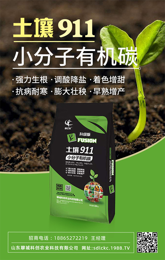 山東聊城科創(chuàng)再簽1988.TV，共謀合作促雙贏！