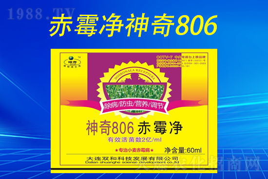 合作再升級(jí)！大連雙和科技再簽1988.TV，共創(chuàng)新輝煌！