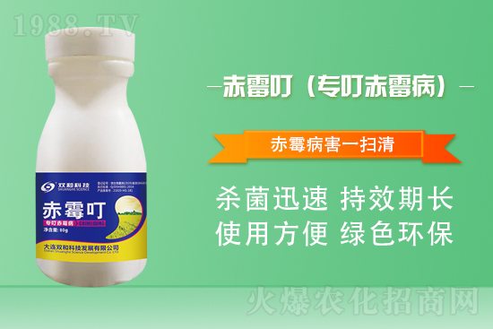 合作再升級(jí)！大連雙和科技再簽1988.TV，共創(chuàng)新輝煌！