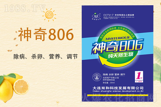 合作再升級(jí)！大連雙和科技再簽1988.TV，共創(chuàng)新輝煌！