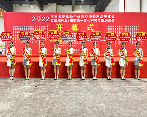 �����]�����Ĵ������������L(f��ng)�ɱM�@��