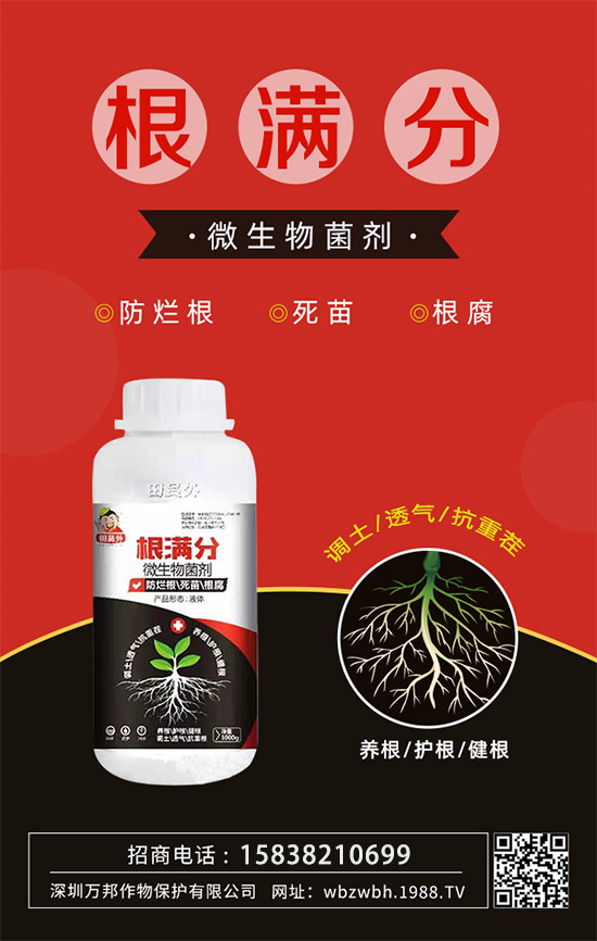 作物死苗爛根多，發(fā)育不良怎么辦！如何拯救作物根系？