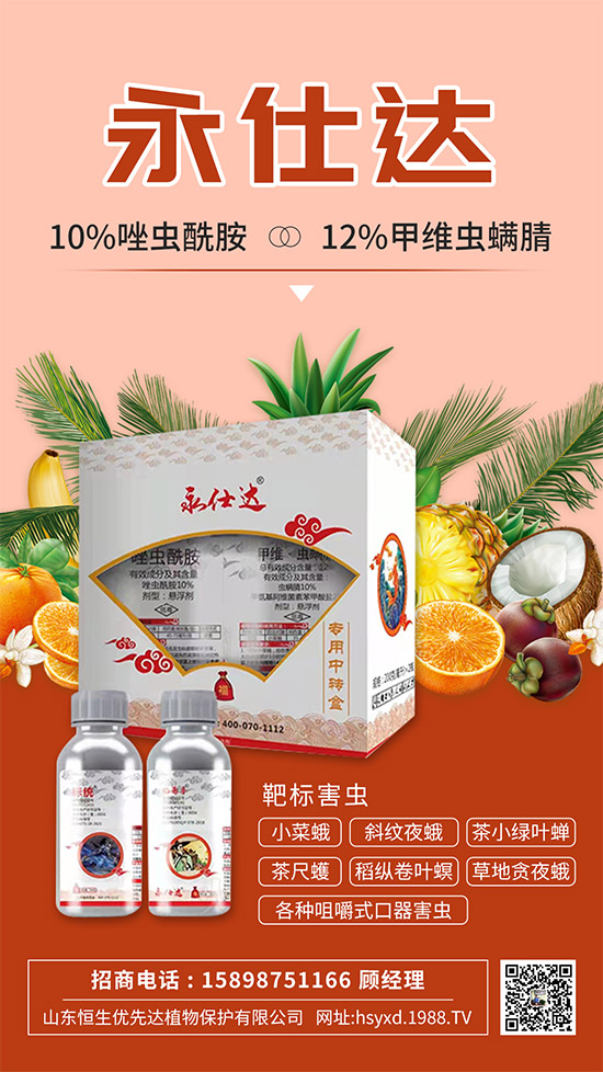 小菜蛾為何防治難？小菜蛾危害癥狀及防治措施！