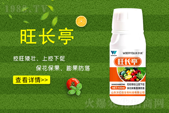 什么是黃瓜旺長？黃瓜旺長的防控措施