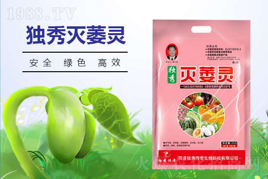 番茄發(fā)生枯萎病什么癥狀？番茄枯萎病的預(yù)防措施