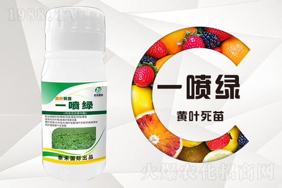 大棚蔬菜育苗為什么容易死苗？怎么解決？