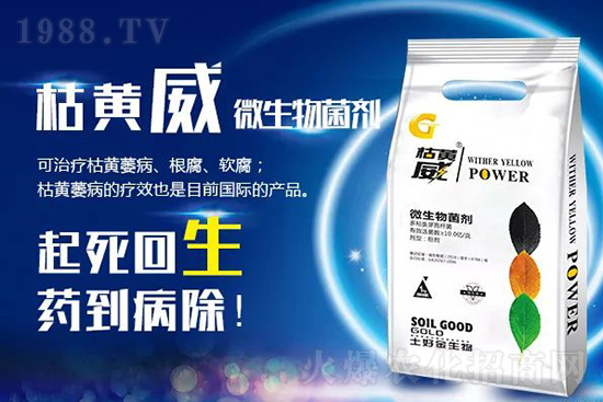 枯黃萎、立枯等病害怎樣滅殺？用它就夠了！