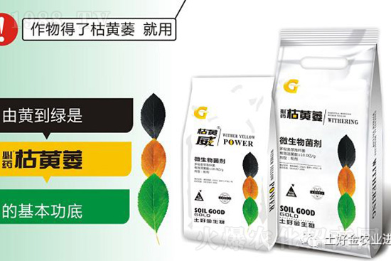 枯黃萎、立枯等病害怎樣滅殺？用它就夠了！