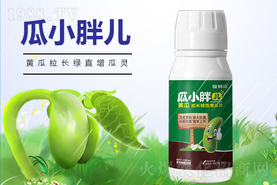 黃瓜什么時(shí)候澆水？黃瓜哪些階段需要澆水？