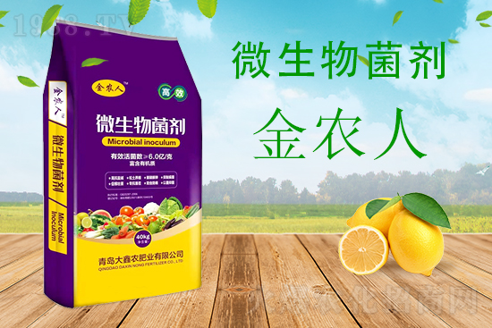 小麥科學(xué)防范“倒春寒”，該怎么做？