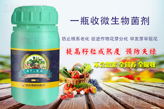 火爆農化網喜迎新盟友，攜手國亨肥業(yè)共走財富之路！