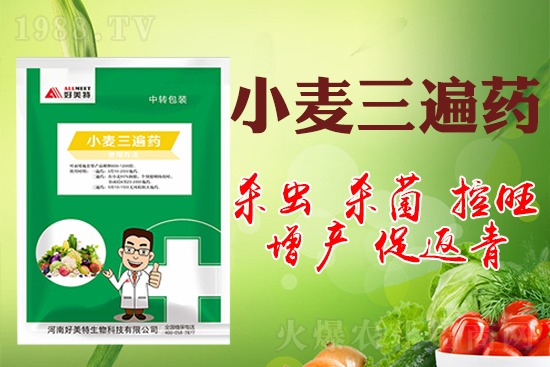 小麥巧打三遍藥抗病增產有奇效！小麥三遍藥什么時候打？