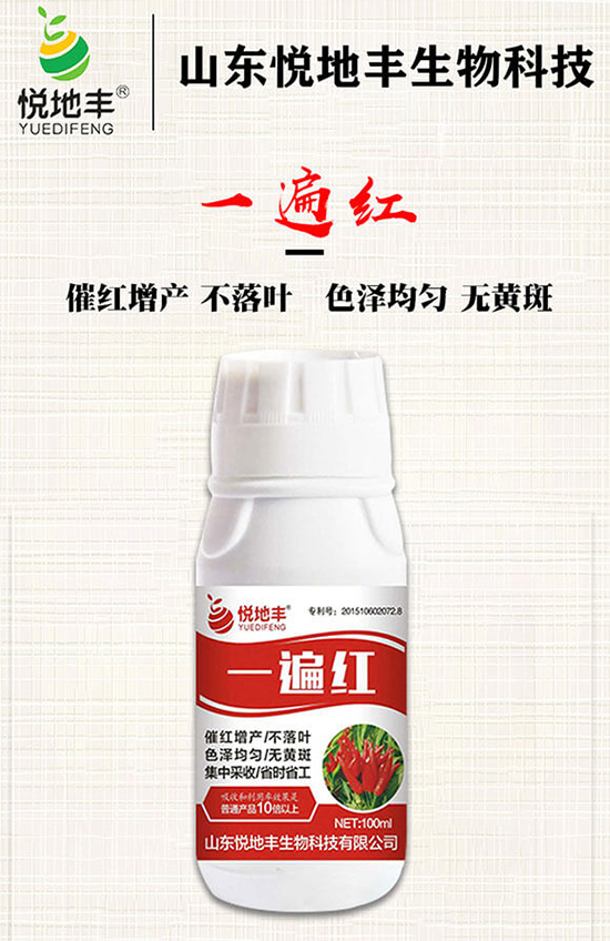 辣椒催紅措施怎么做？辣椒如何提前上市？辣椒催紅藥什么時(shí)候打好？