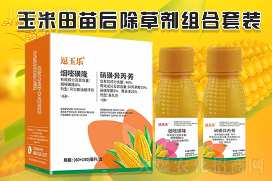 玉米除草效果差，什么原因？玉米除草劑怎么選？
