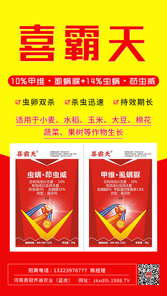 小菜蛾、菜青蟲危害重太難打？這樣用藥！一打一個(gè)準(zhǔn)!
