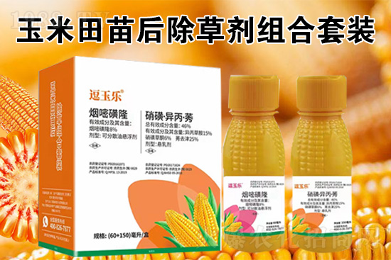 玉米除草劑怎么打才又有效？