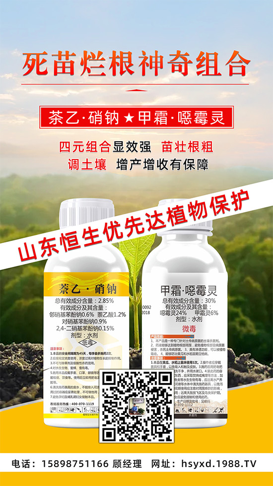 根腐、立枯、死苗爛根導(dǎo)致作物的“元兇”！這樣防治輕松搞定！