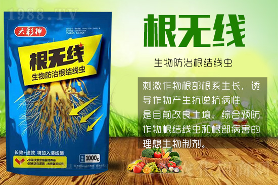 根結(jié)線蟲殺死容易殺絕難！這樣防治效果好到驚人！