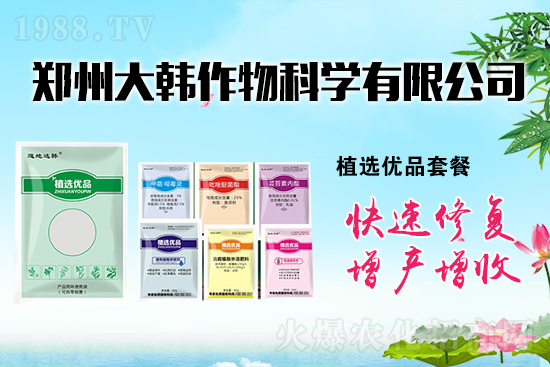 作物藥害肥害頻發(fā)怎么辦？發(fā)生藥害肥害如何補(bǔ)救？